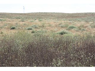 Property photo 110 - LAND AUCTION, 3255+/- Acres offered in 13 Tracts